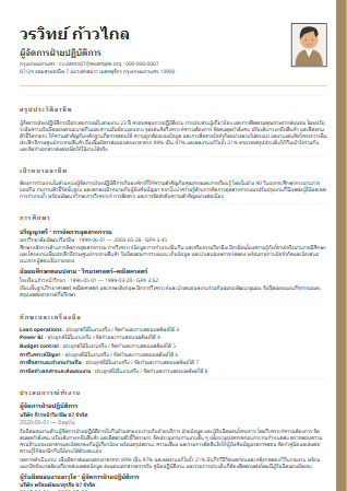Resume แบบที่ 8